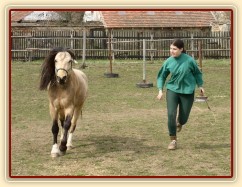 Parellistění ve volnosti, cval