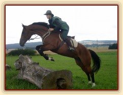 Terénní skok u Řitky