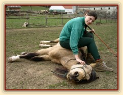 Parellistění ve volnosti, položení