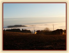 Konečně začíná jaro, brzké ráno, koně u senáže