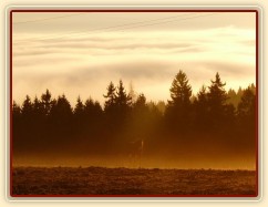 Konečně začíná jaro, brzké ráno...