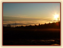 10.3.2012 - Konečně začíná jaro, brzké ráno, koně u senáže
