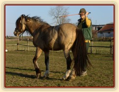 Parellistění ve volnosti, ustupování směrem k člověku