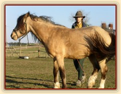 Parellistění ve volnosti, ustupování od člověka