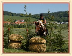 20.5.2012 - Vikina při crossu stupně L v Borové. Cross překonala čistě a splnila si tak jednu ze dvou kvalifikací do finále Stříbrné podkovy. Carthago také zajel cross soutěže Nadějí (ZL) čistě a tak už má finále v Humpolci jisté:-)