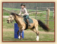 Trénink doma, barrel race