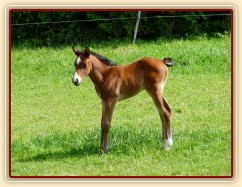 Baloo 10 dní starý