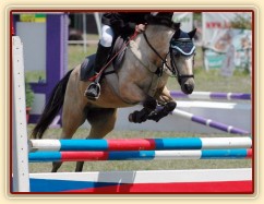 CSIP Heroutice, parkur LPA