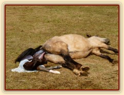 Porod, Greisy tradičně rodí pře den, abychom mohli dokumentovat:-)