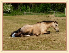 Porod, Greisy tradičně rodí pře den, abychom mohli dokumentovat:-)