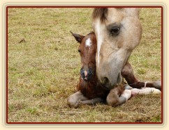 Griffin už je na světě:-)