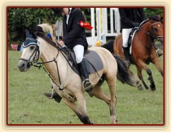 CSIP Heroutice, čestné kolo