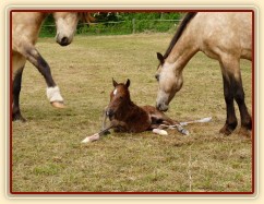 První pokusy o vstávání...