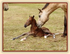První pokusy o vstávání...