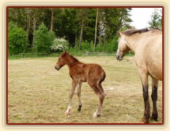Griffin poprvé na nohou:-)