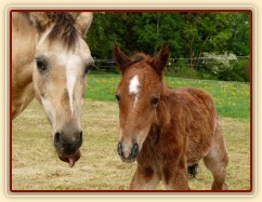 Griffin asi hodinu po narození