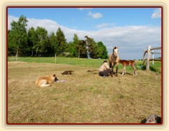 Tak kde je to mlíko? :-)