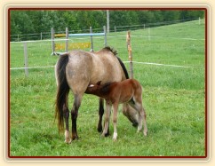 Griffin 3 dny starý