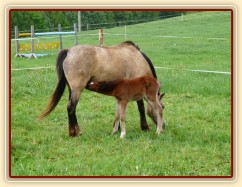 Griffin 3 dny starý