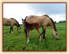 Griffin 3 dny starý