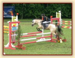 CSIP Heroutice, parkur ZLPA na čas