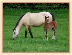 Griffin 13 dní starý