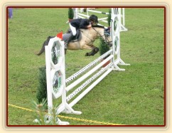 CSIP Heroutice, parkur ZLPA na čas