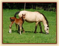 Griffin 13 dní starý