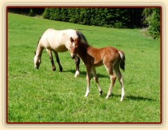 Griffin 13 dní starý