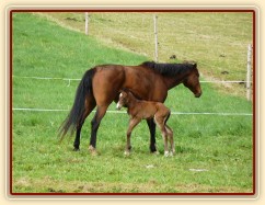 Baloo pár hodin po narození