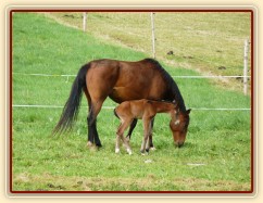 Baloo pár hodin po narození