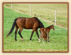 Baloo pár hodin po narození