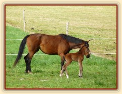 Baloo pár hodin po narození