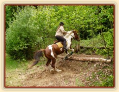 Vikina při "křtění" schodů, výskok na první schod