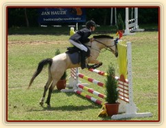 CSIP Heroutice, parkur LPA