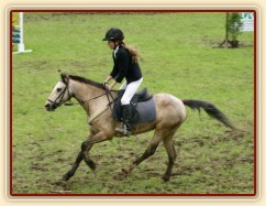 Dojezd do cíle parkuru