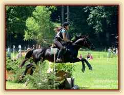 17.6.2012 - Carthago se umístil na 5. místě v kvalifikačním kole KMK ve všestrannosti v Lošticích:-) Drezuru zajel na 62%, cross zvládl čistě a parkur za chybu. Je tedy kvalifikovaný do finále KMK:-) Arwen zajela letos svou první všestrannost také dobře.