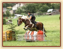 15.7.2012 - Vikina překonala čistě cross Stříbrné podkovy (stupeň L) na závodech všestrannosti v Humpolci:-) Cross byl poměrně těžký, takže se Vikina svým výkonem po nevydařené drezuře posunula z 30. na 15. místo...