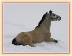 Co to v dálce vidim?