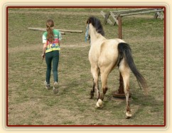 Parellistění ve volnosti