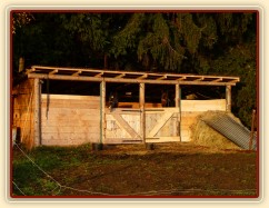 K dispozici máme dva venkovní boxy