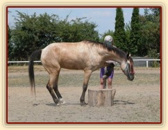 Parellistění, soutěž "lezení" na špalek, Středokluky 2001
