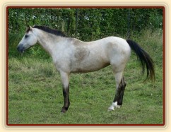 Už zase stojím na všech čtyřech :-)