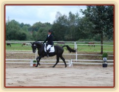 Carthago, drezura L8, 3. místo, Dobřany září 2012