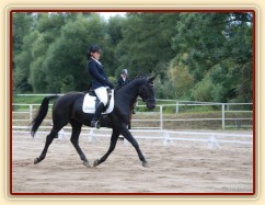 Carthago, drezura L8, 3. místo, Dobřany září 2012