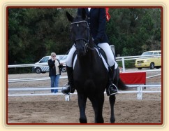 Carthago, drezura L8, 3. místo, Dobřany září 2012