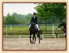 Carthago, drezura Z2, 1. místo, Dobřany květen 2012