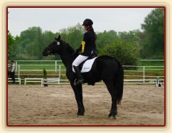 Carthago, drezura Z2, 1. místo, Dobřany květen 2012