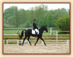 Carthago, drezura Z2, 1. místo, Dobřany květen 2012