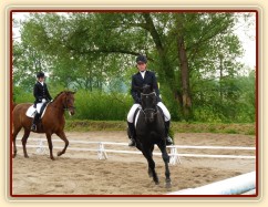 Carthago, drezura Z2, 1. místo, Dobřany květen 2012